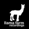 Pete Le Freq Profile Image