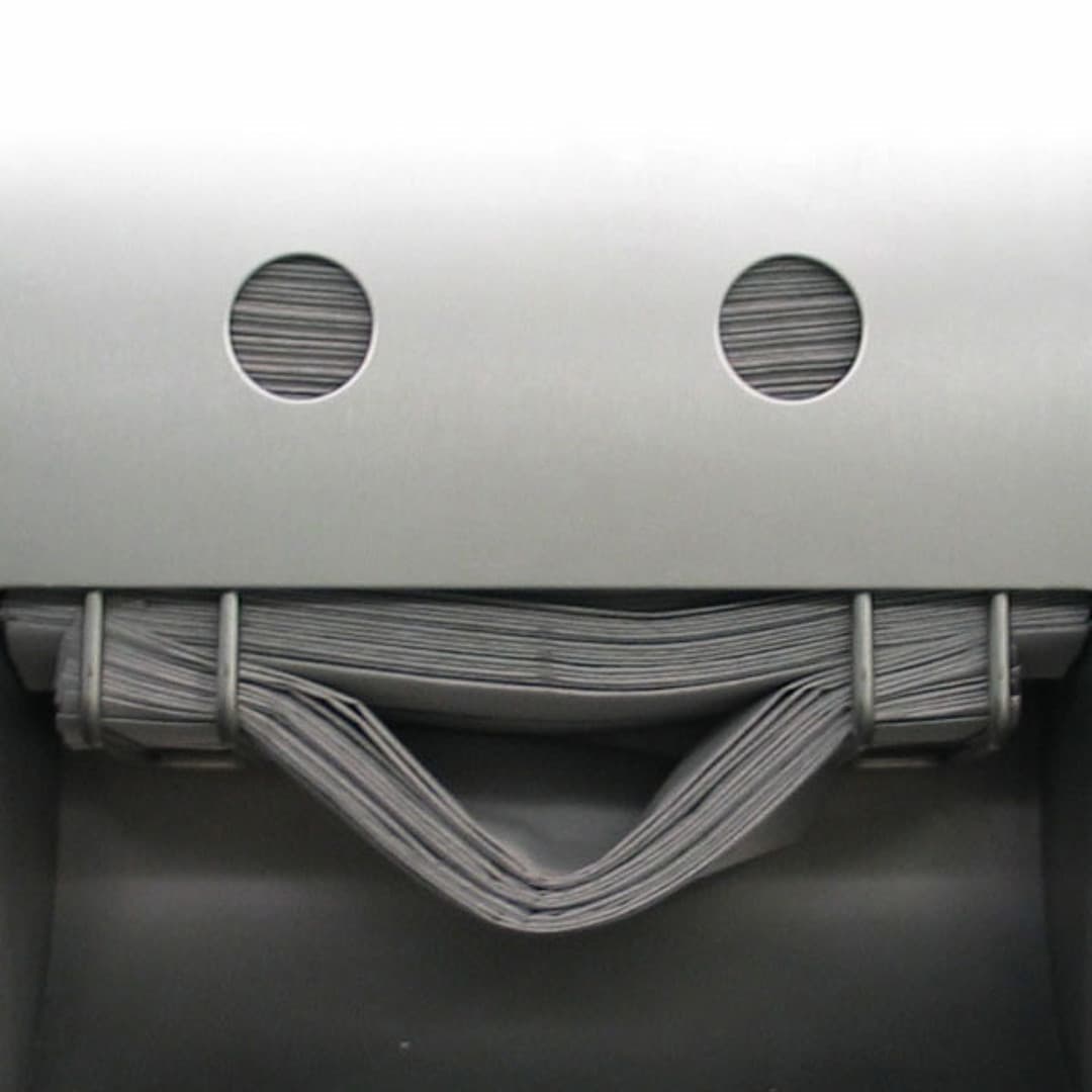 Miguel Sá Profile Image