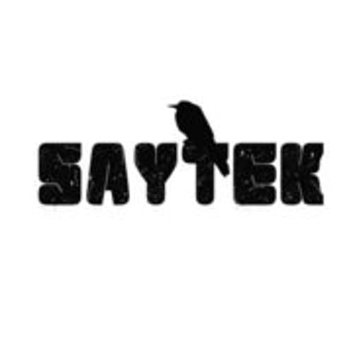 Saytek Profile Image