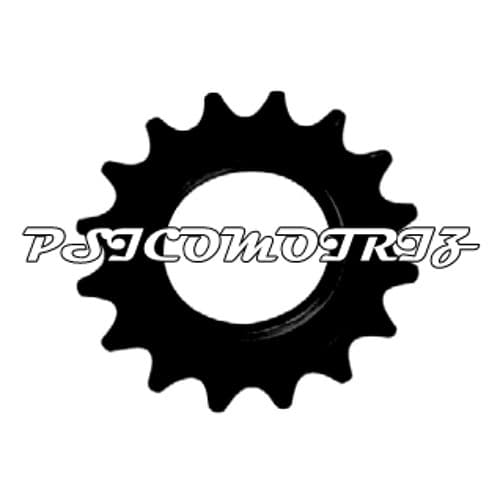 Psicomotriz