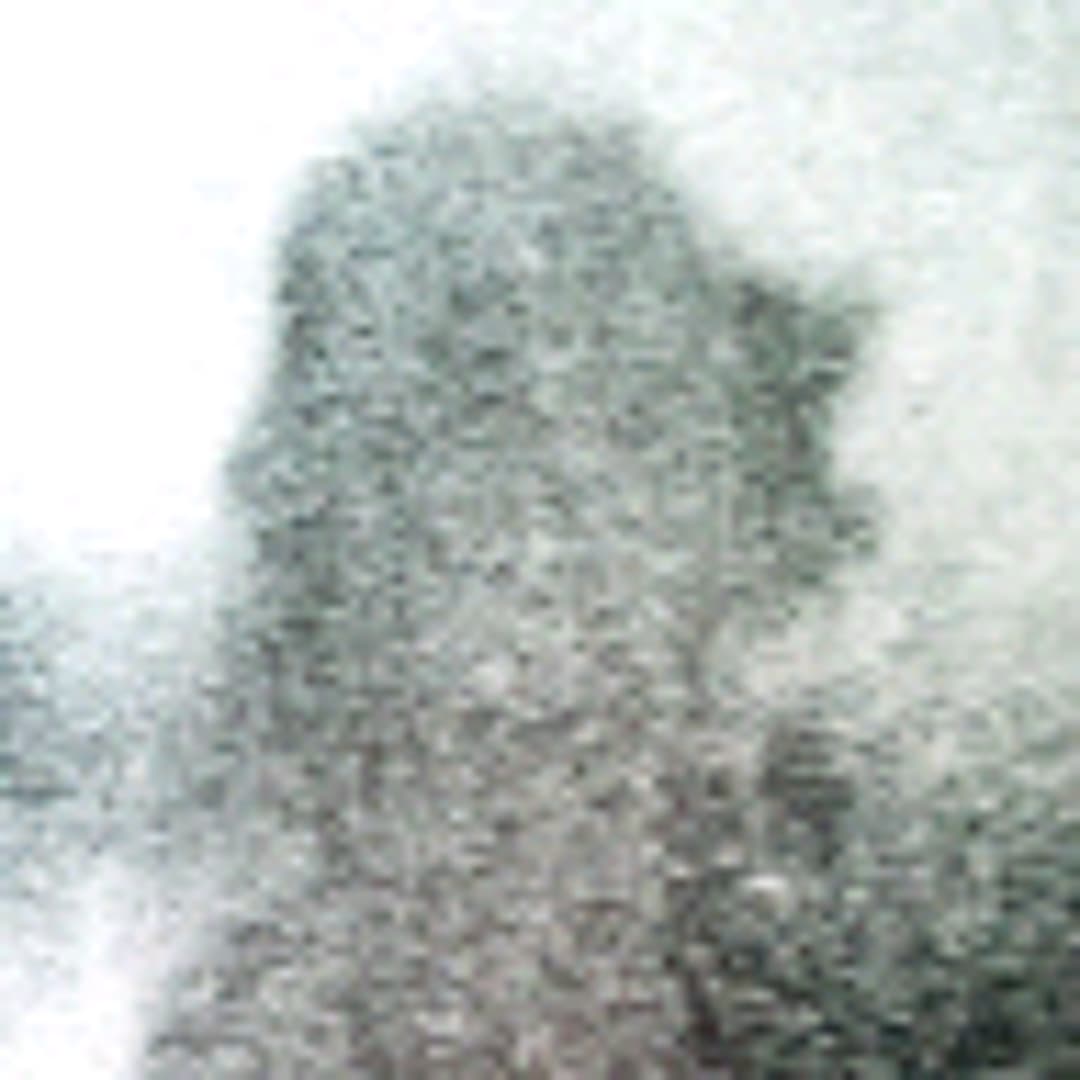 Mitsuki Profile Image