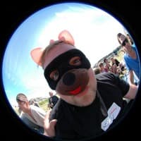 hypnorex