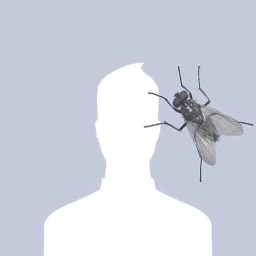 Micromattic portrait