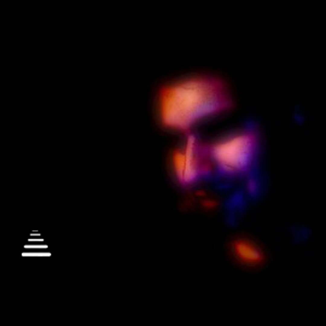 Rodrigo Quinonez Profile Image