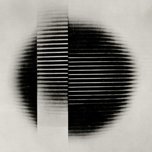 Cyspe portrait