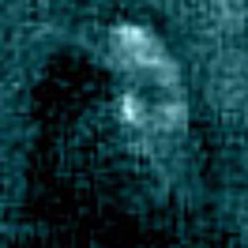 Tïng Profile Image