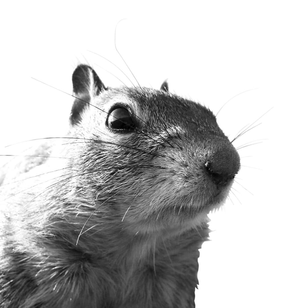 Jenne Grabowski Profile Image