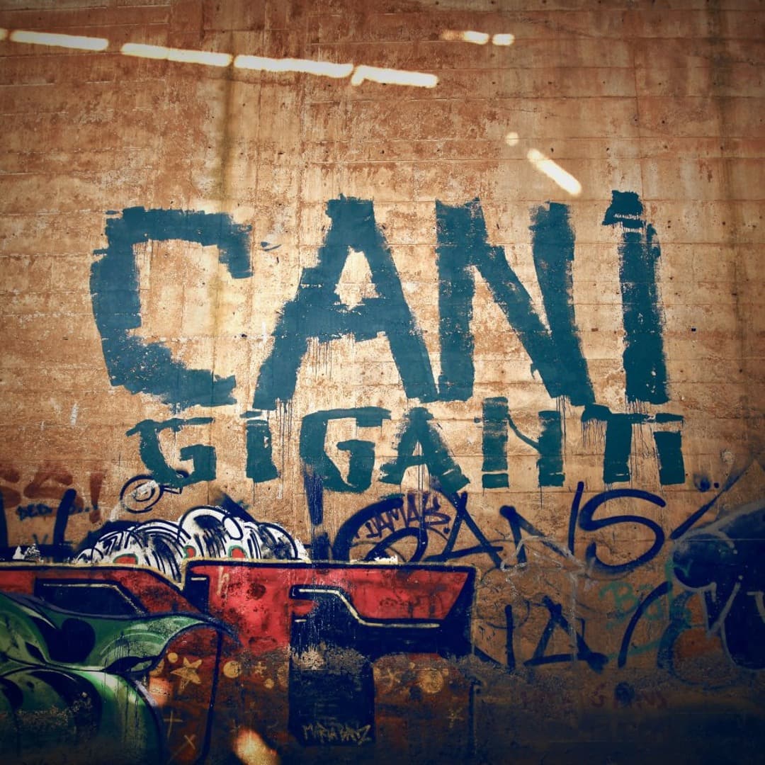 I Cani Giganti Profile Image