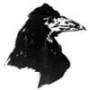Gola Profile Image