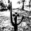 ODY arts Profile Image