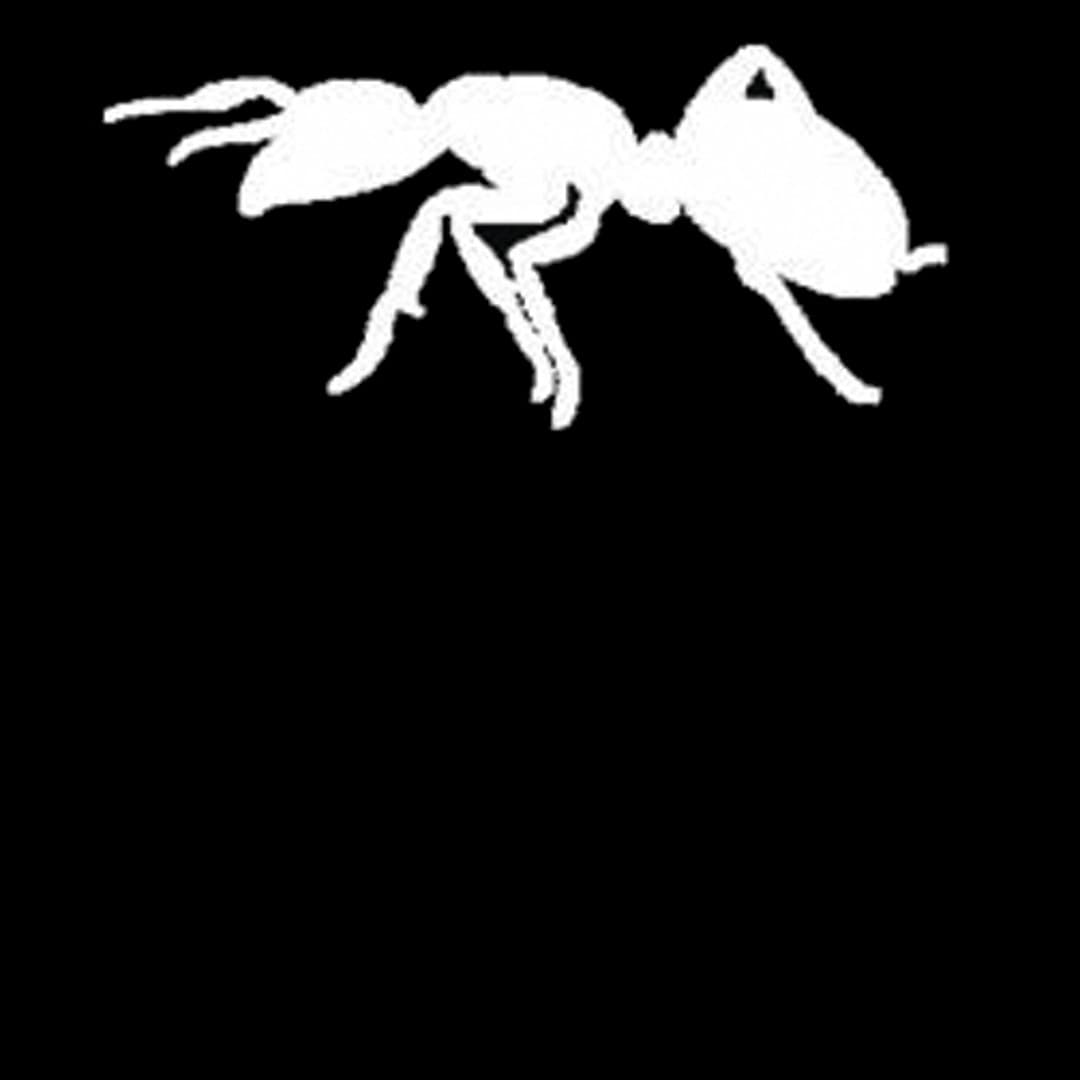Sonair Profile Image