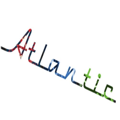 Atlantic 313 portrait