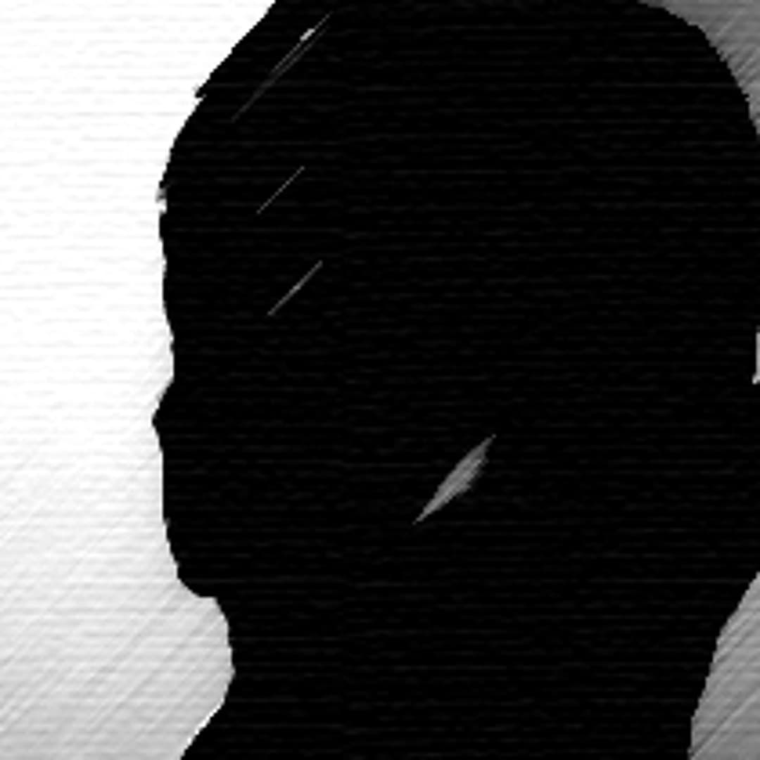 Stereohaus Profile Image