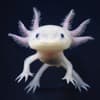 Emmymaie Profile Image