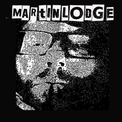 Martin Lodge portrait