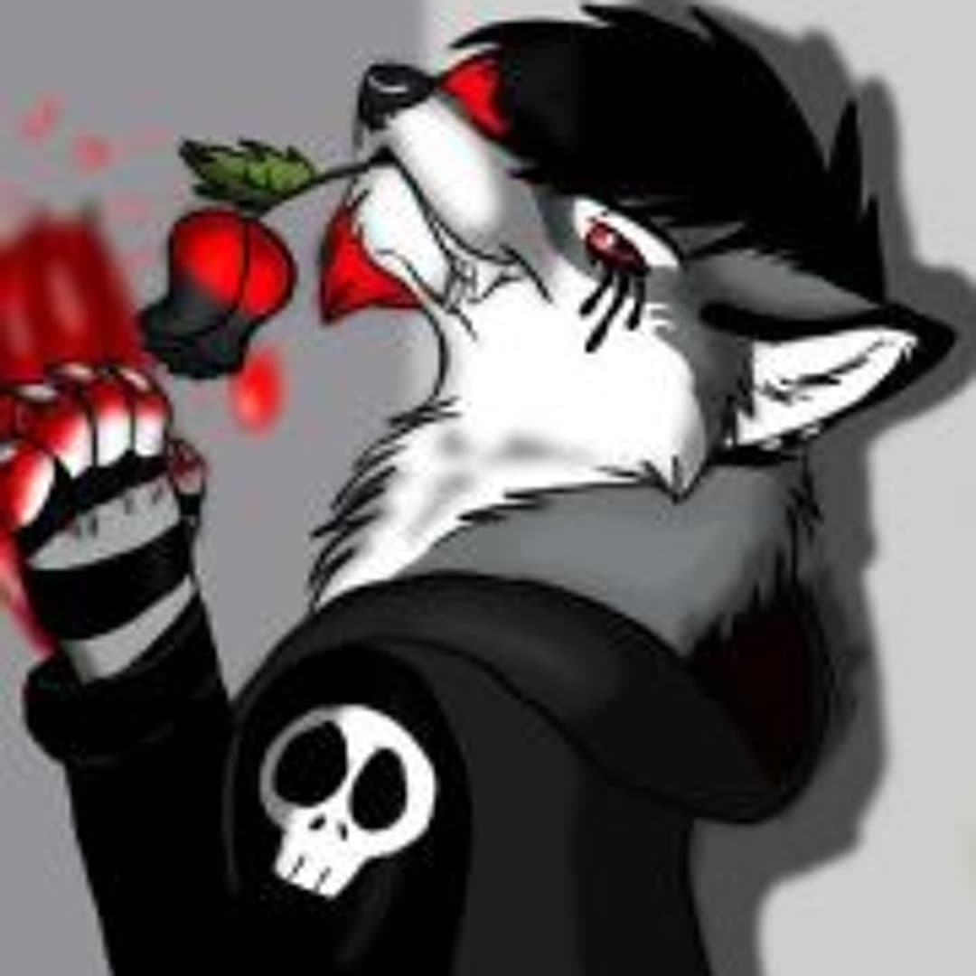 Robert Raine Profile Image