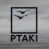 Ptaki Profile Image