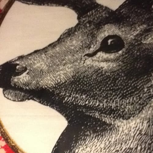 Ed Maddams portrait