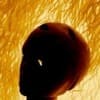 Debbie Profile Image