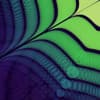 IDMT Profile Image