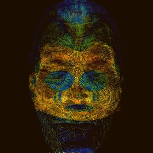Root portrait