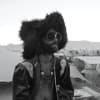 Sigmund K Profile Image