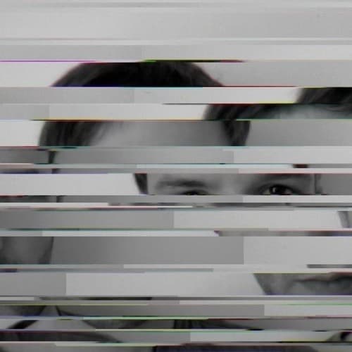 Fake Electronics portrait