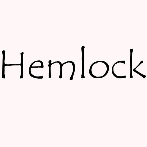 Hemlock portrait