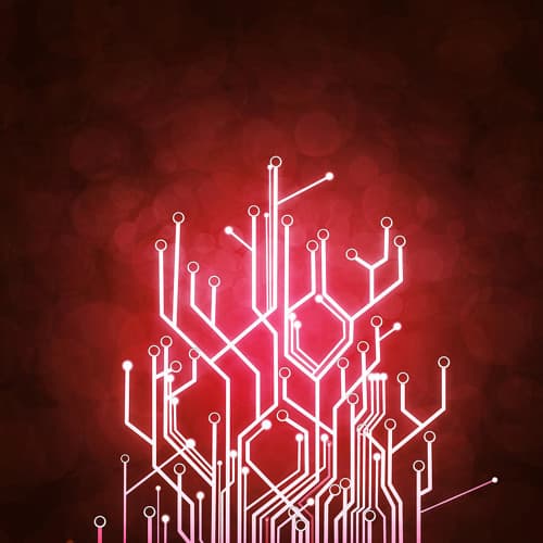 NeoPink Profile Image