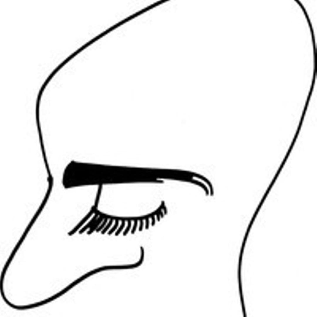 Nostrum X Profile Image