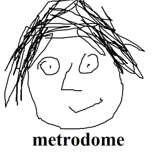Metrodome portrait