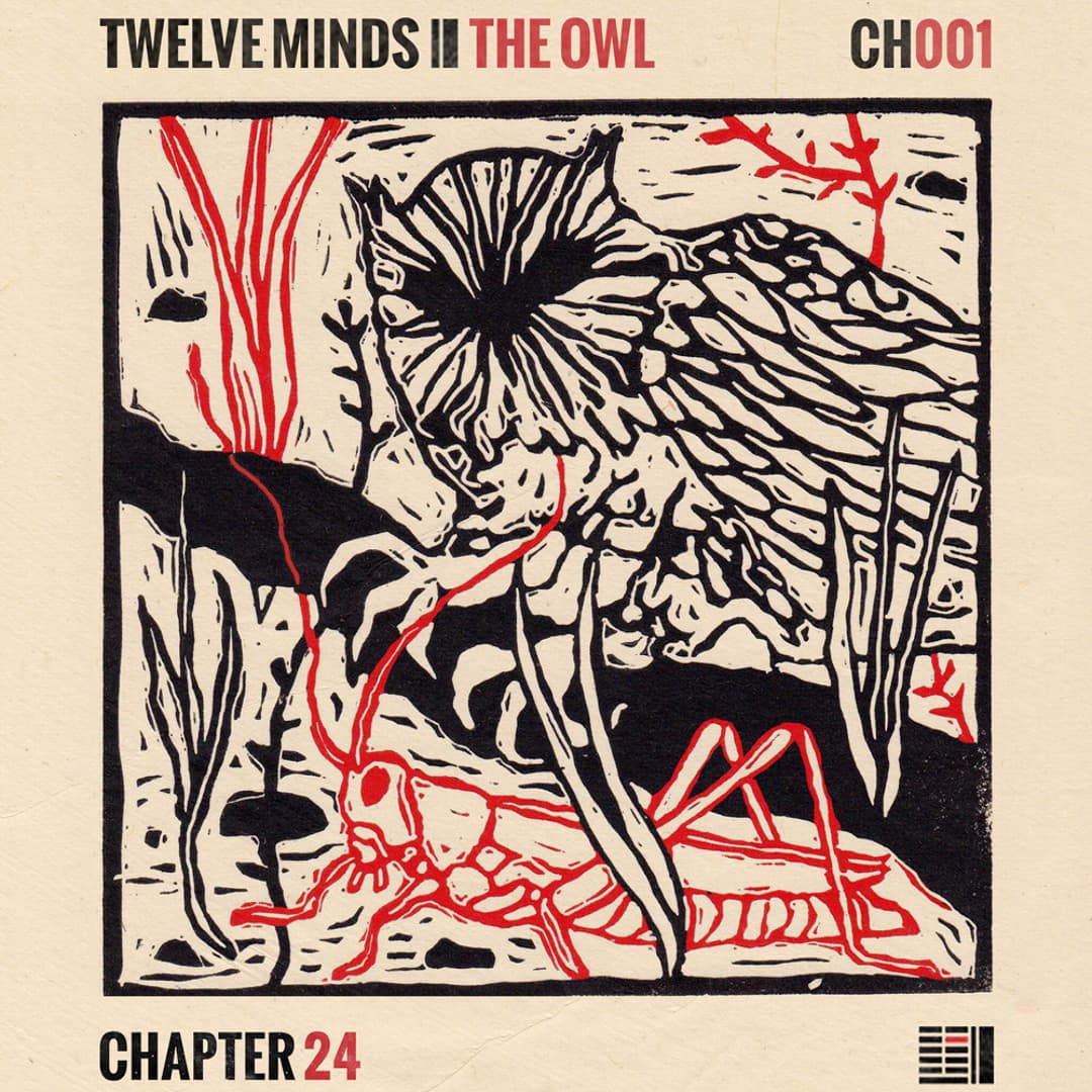 Twelve Minds