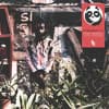 My Panda Shall Fly Profile Image