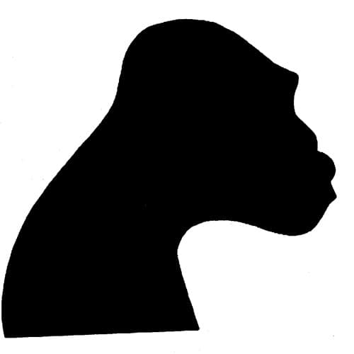 John Warwick Profile Image