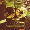 Space Echo Profile Image
