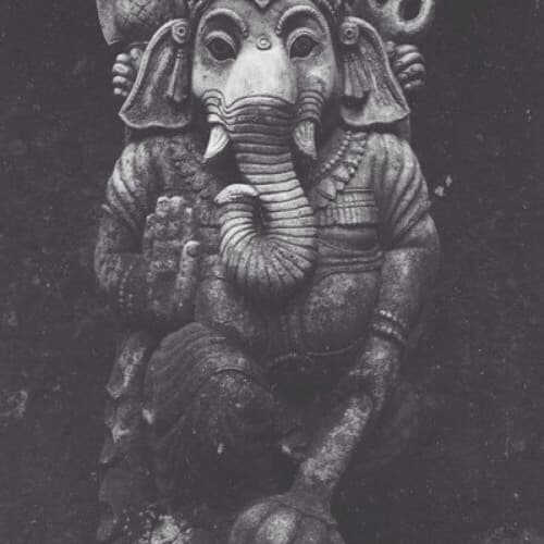Haathi Profile Image