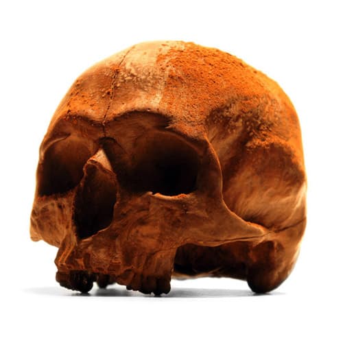 Duclaud Profile Image