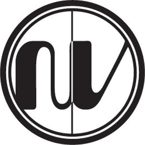NVisitor portrait