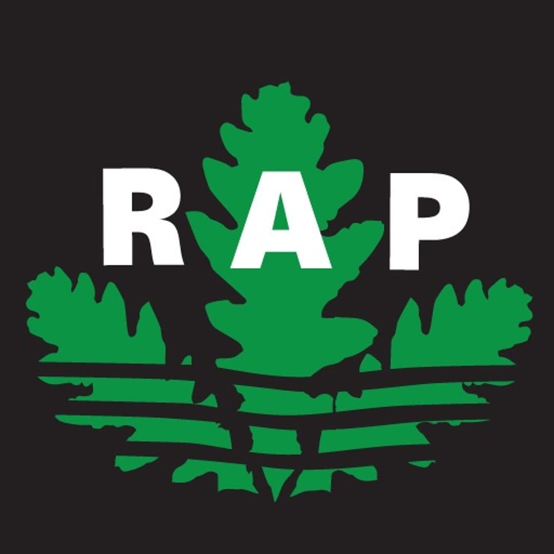 RAP (UK)