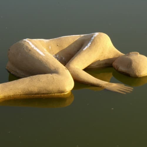 fetva Profile Image