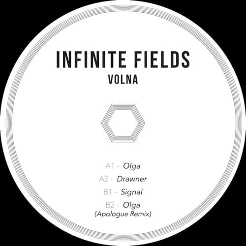 Infinite Fields portrait