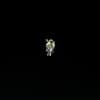 Dude Skywalker Profile Image