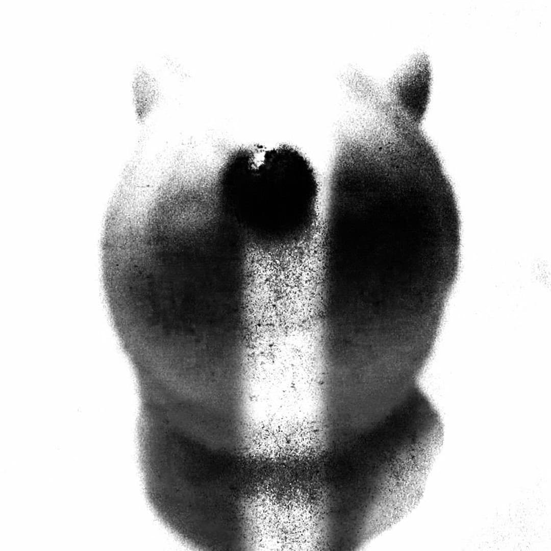 MoodyLab Profile Image