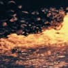 Leafar Legov Profile Image
