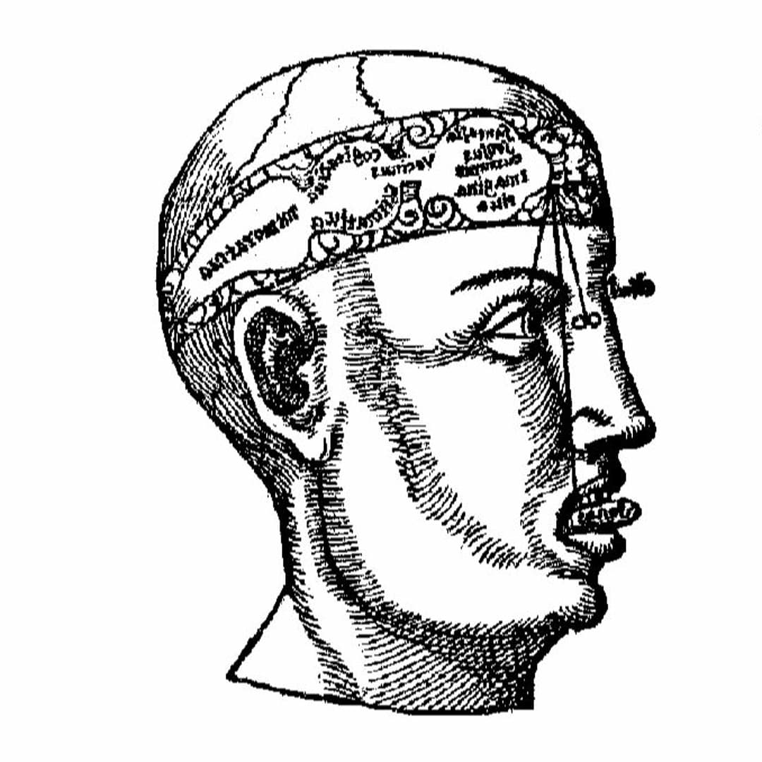 Germanic Profile Image