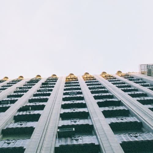 Jengan Skies portrait