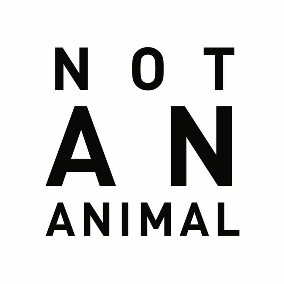 Not An Animal Profile Image