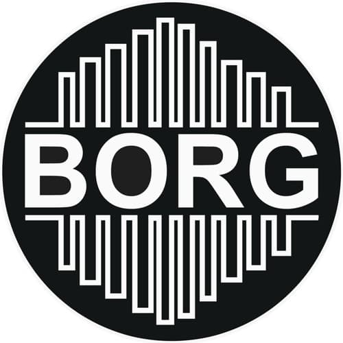 BORG LTD