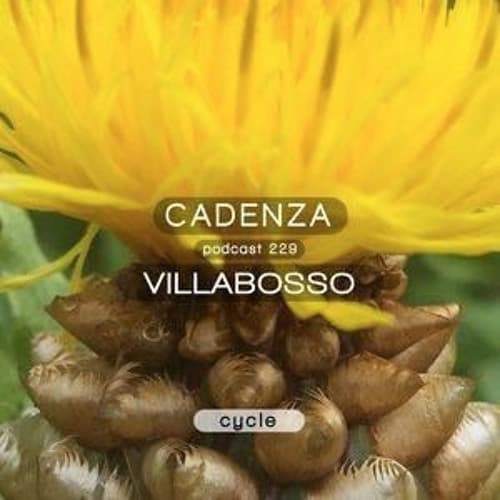 Villa Bosso portrait