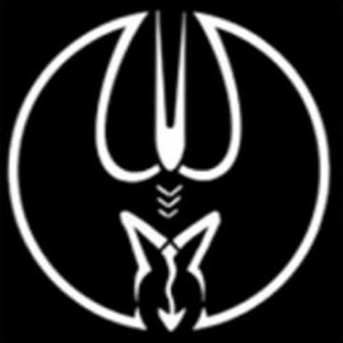 Gatto Nero Profile Image